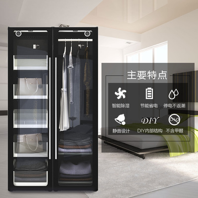 智能照明高档防潮衣柜欧美高端多功能衣橱玻璃组装卧室干衣柜双门|ms