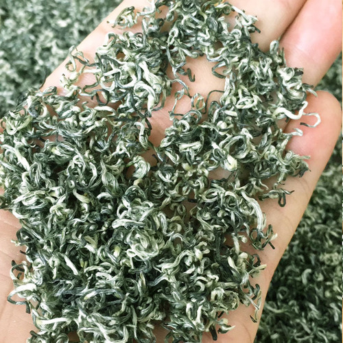  New Tea Lixiang Biluochun Tea Powder Sichuan Mengdingshan Green Tea Manufacturer Tea Biluochun