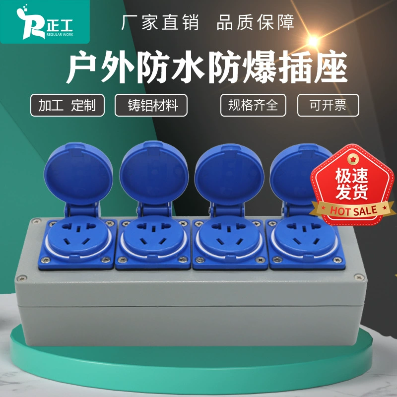 Розетка взрывозащищенная Zhenggong 250*80*64 из литого алюминия, 10А-250VIP66, с пятью отверстиями, четырьмя контактами, герметичная, высокой степени защиты