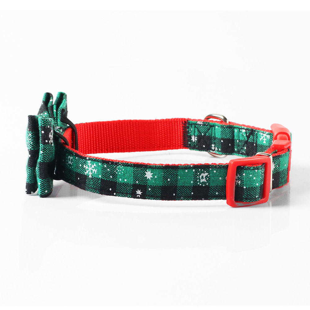 Pet with Collar