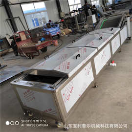 蔬菜漂烫机 全自动高温蒸煮肉类蒸汽粉丝鸡爪包装袋 食品杀菌设备