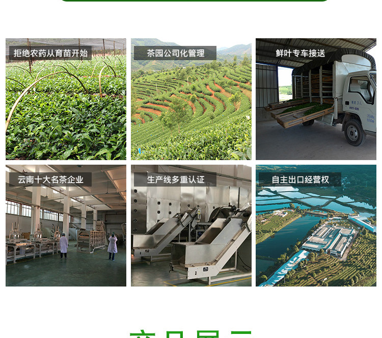 一级-高山雪龙_03