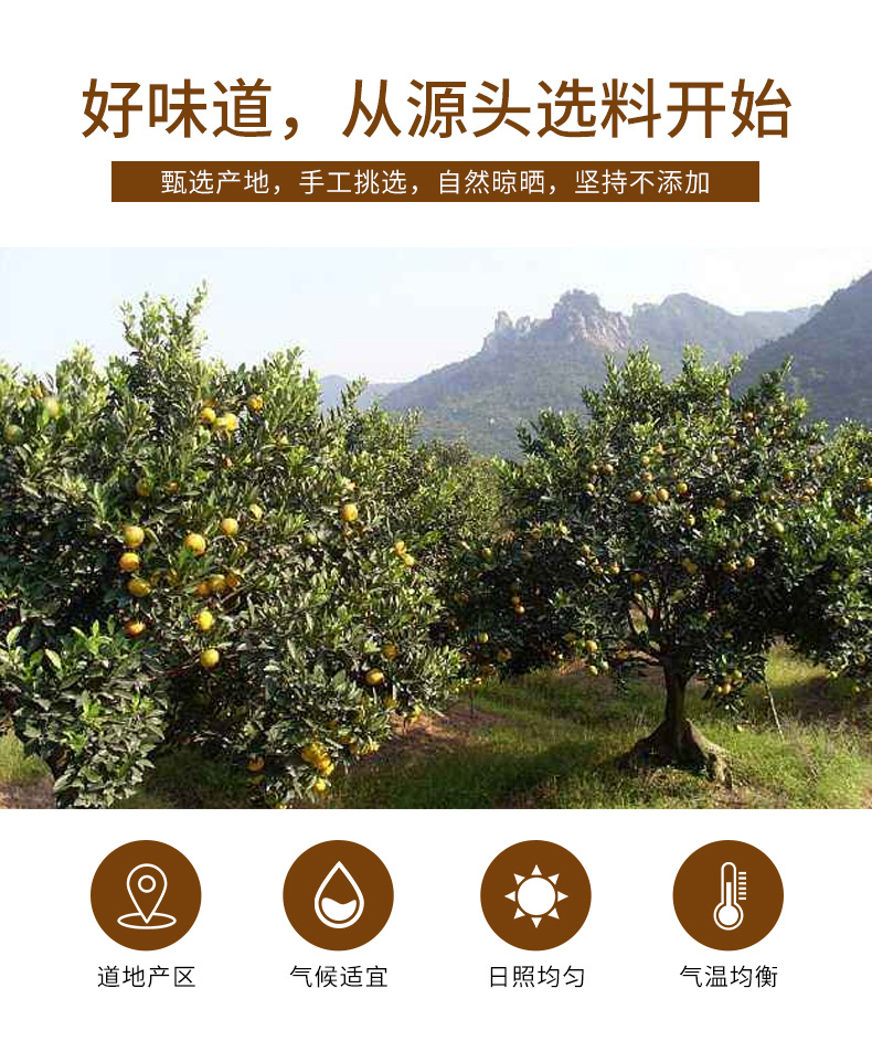 Chen Pi Tea (Citrus reticulata) — Dried Aged Tangerine Peel Slices, 160g Jar for Brewing key features