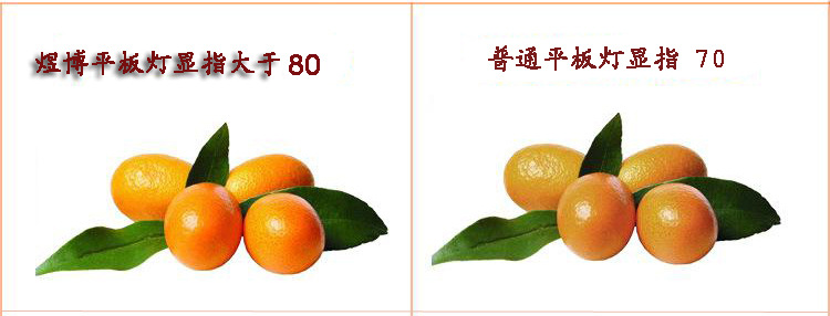 煜博高显指6060平板灯 拷贝.jpg
