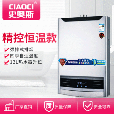 12升恒温立式家用宽频防干烧热水器 防冻强排燃气热水器厂家批发