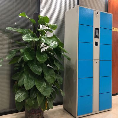 厂家直销健身房12门存包柜 刷ic卡手环身份证储物人脸寄存柜|ms