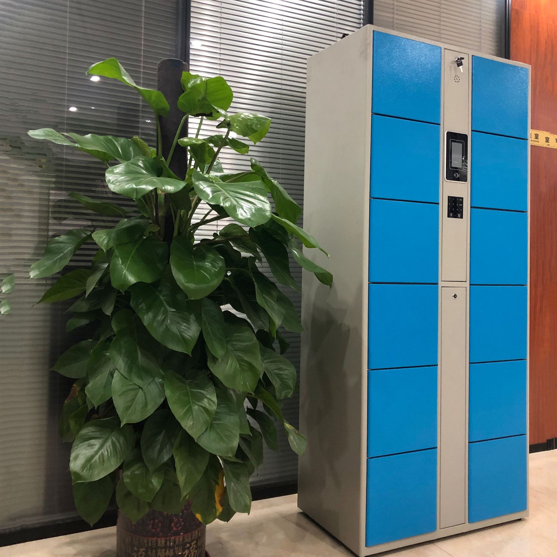 厂家直销健身房12门存包柜 刷ic卡手环身份证储物人脸寄存柜|ms