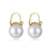 2019 new pattern Versatile Pearl Earrings Korean Edition Simplicity fashion Star of the same paragraph Earrings Earrings wholesale