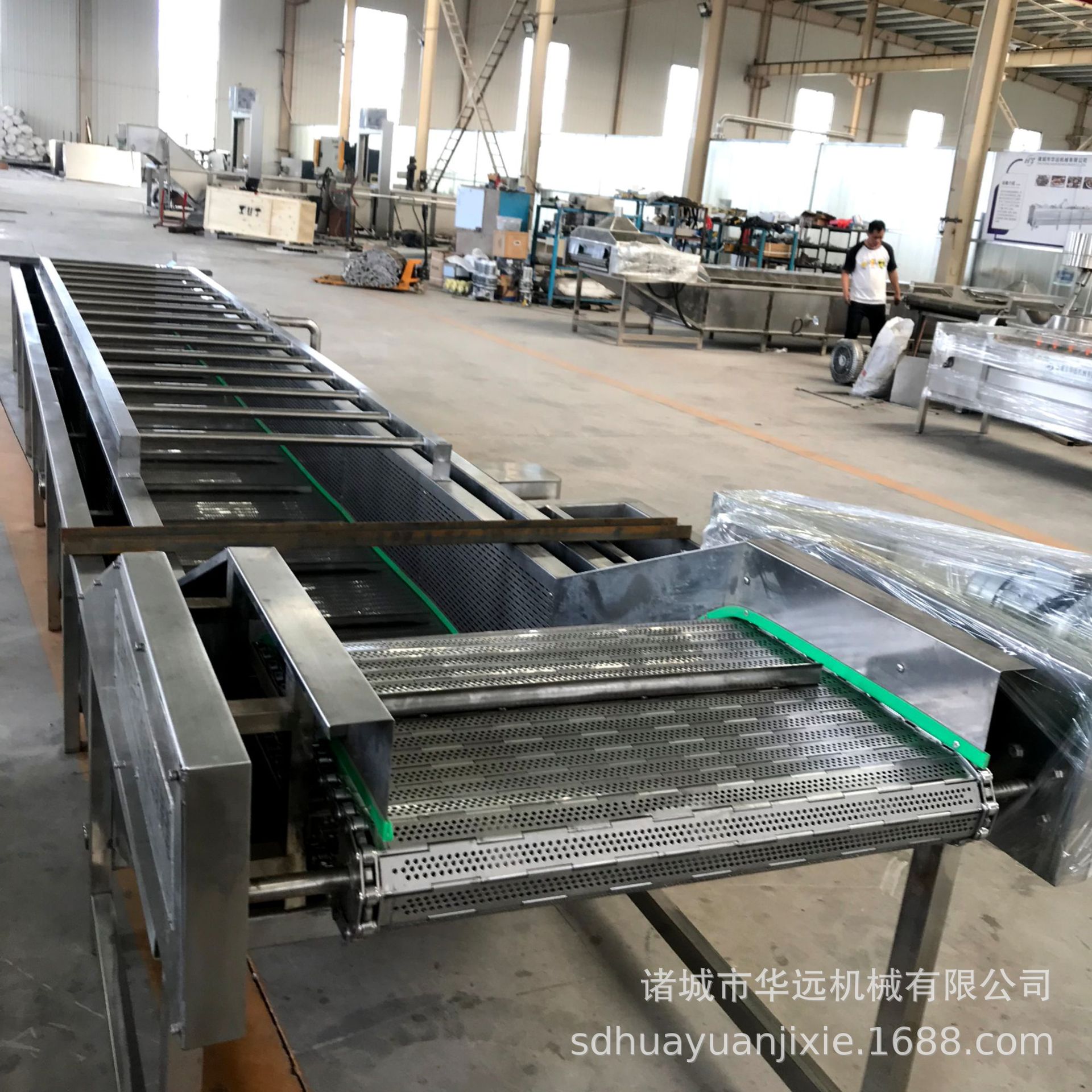 厂家  葡萄干清洗设备 大枣气泡清洗机 全自动葡萄气泡清洗机