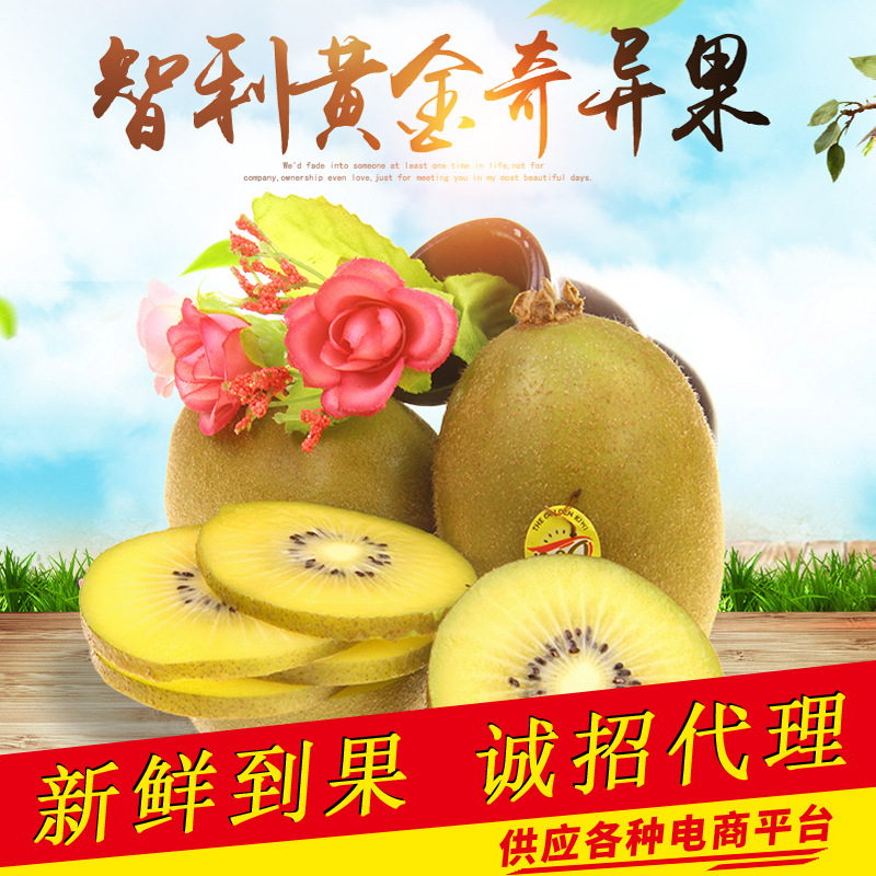 智利黄金猕猴桃 进口黄心奇异果新鲜当季水果批发代发一件包邮|ms