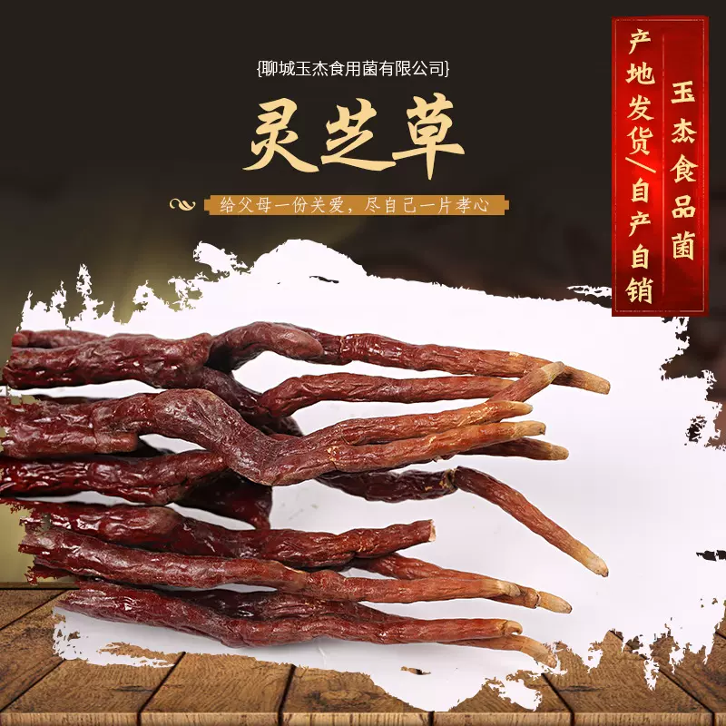 现货批发 灵芝草 泡酒料新货 草灵芝 原产地 鹿角灵