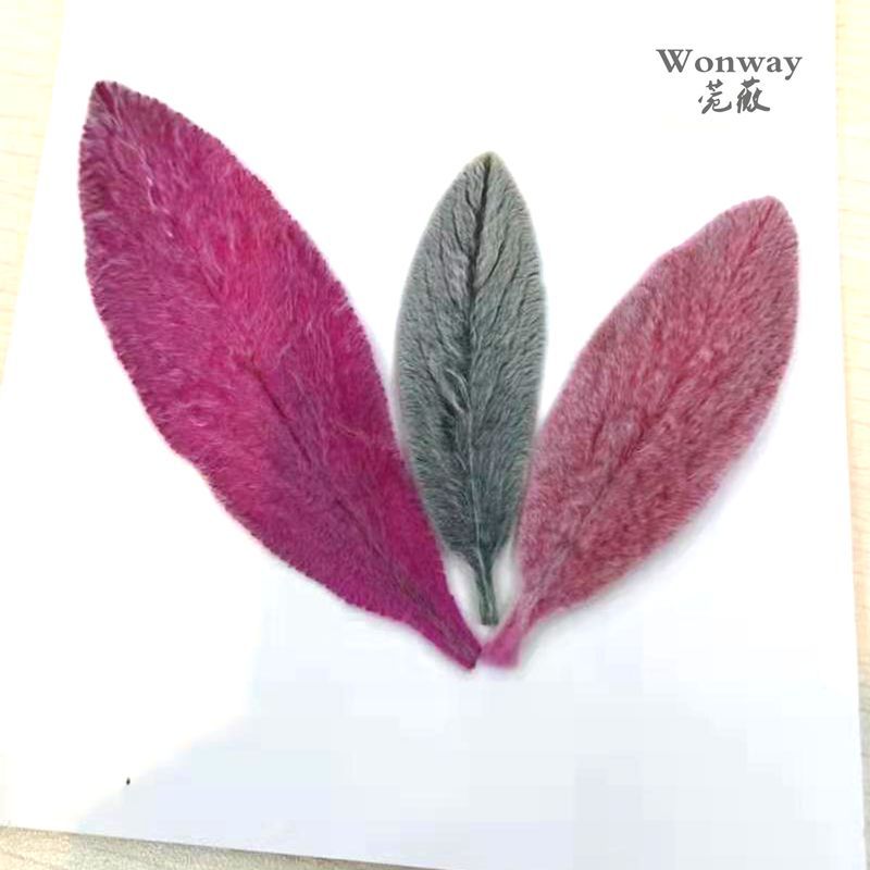 微信图片_20190310144000