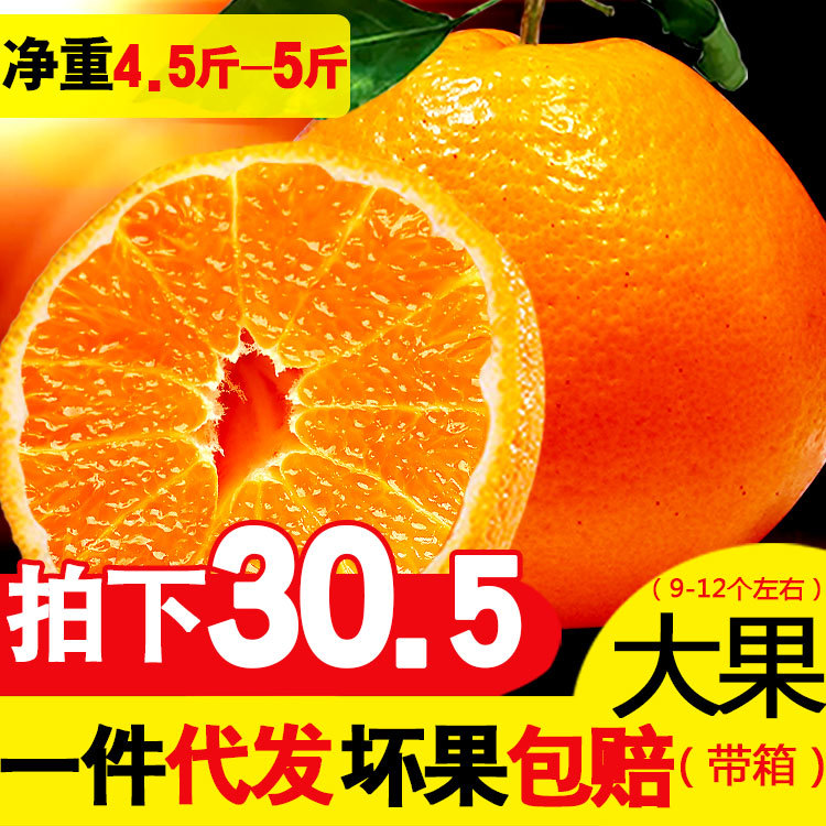 蒲江春见耙耙柑 四川丑八怪柑橘5斤大果丑橘时令新鲜水果一件代发