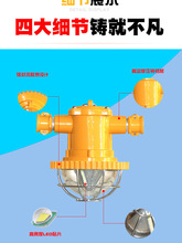 金瑞达36W-50W隔爆型防爆灯煤矿仓库LED多功率矿用防水巷道灯矿灯