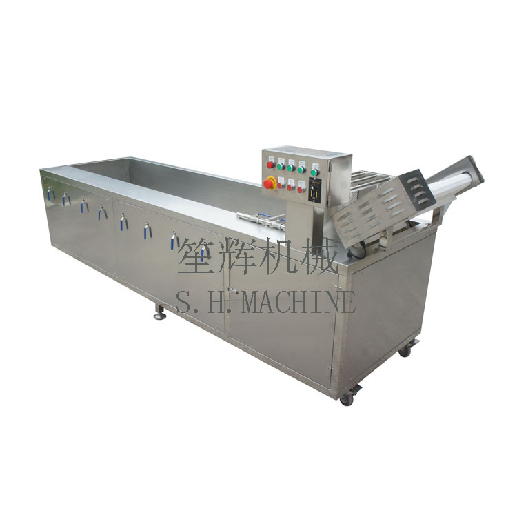 厂家直售洗菜机多功能蔬菜清洗机臭氧汽泡洗果机提升喷淋循环水