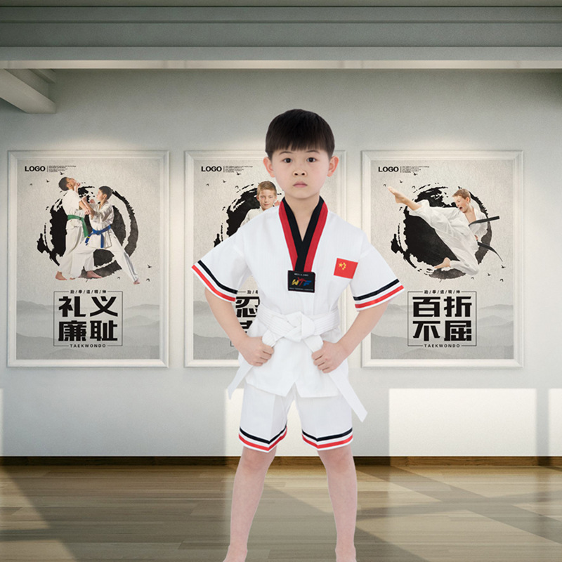 Manufactor wholesale stripe Dragon and Phoenix Short sleeved Tae Kwon Do children adult Training clothes