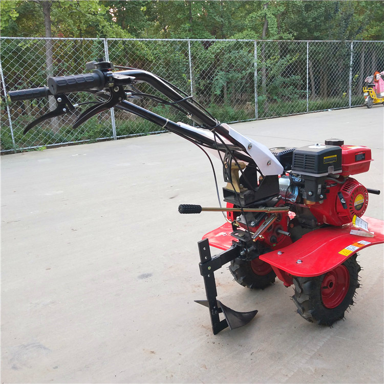 微信图片_201903010924454