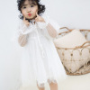 Children's clothing Girls dress 2019 new pattern baby spring clothes Meteor Gauze veil Little Girl skirt children Princess Dress