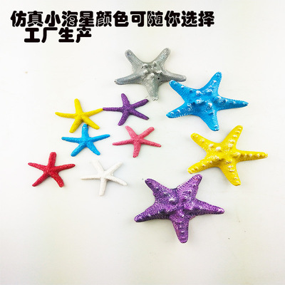 天然海星小海星五指海星扁海星鱼缸造景海星鱼缸装饰