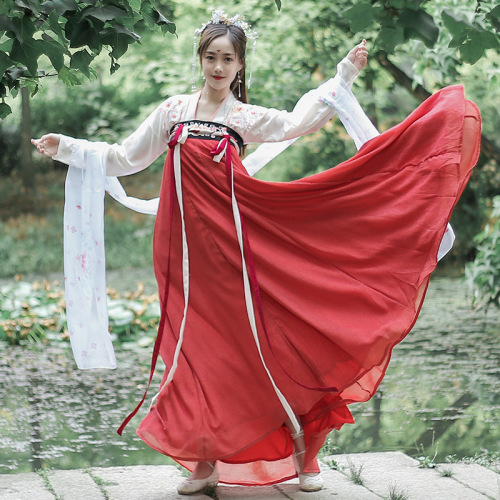 Red pink Blue Women Chinese hanfu Han Ming Tang Song Tradional Folk Dance costumes embroidery daily double-breasted chest Ru skirt 6 meters