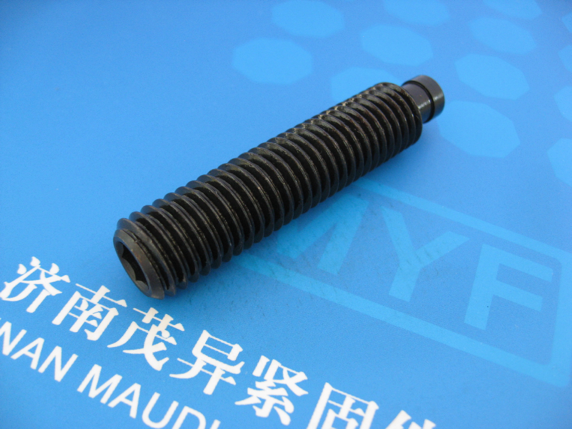 带推力点的螺钉DIN6332 (7)