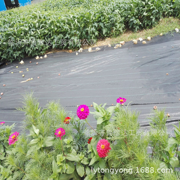 厂家生产供应各种规格黑色果园、种植园、园艺用除草布、防草布