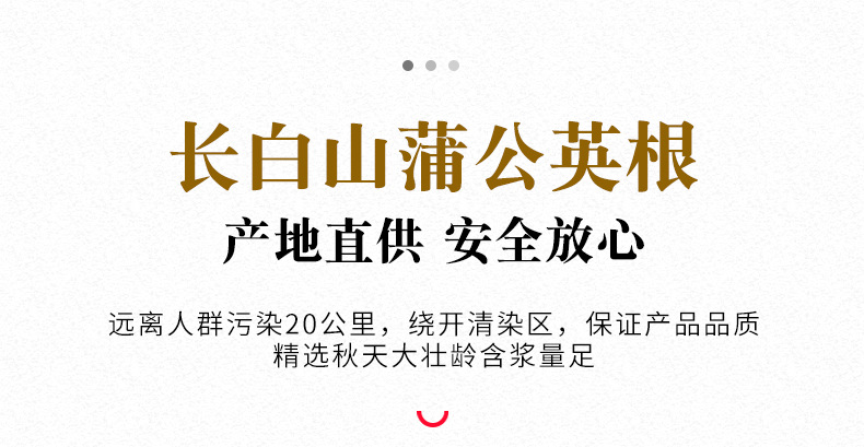 蒲公英根4.jpg