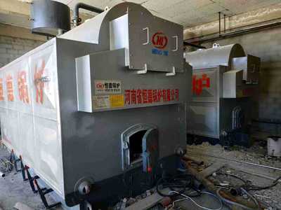 西藏阿里普兰县国防空军2吨燃煤采暖热水锅炉