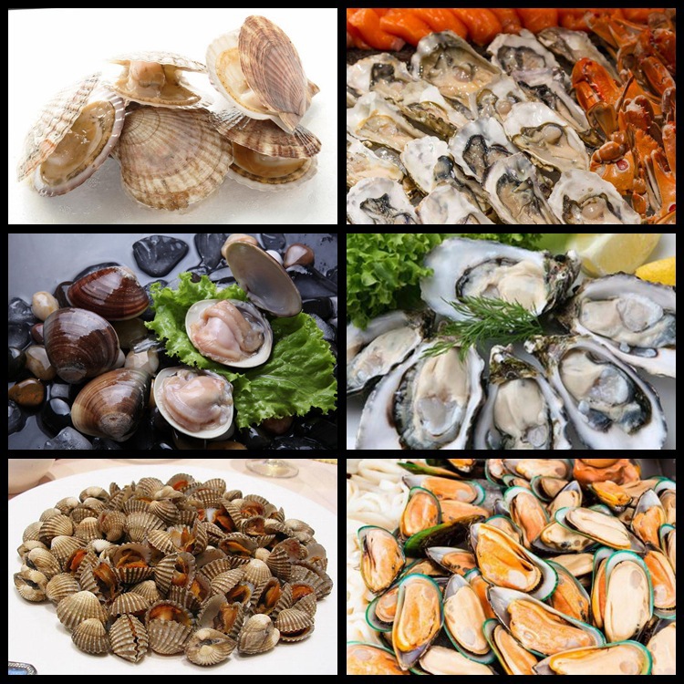 4645558529_887837912