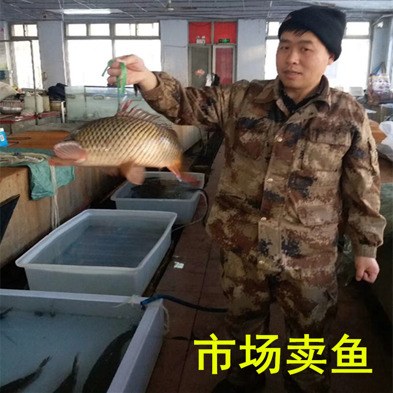 注塑水箱圆桶