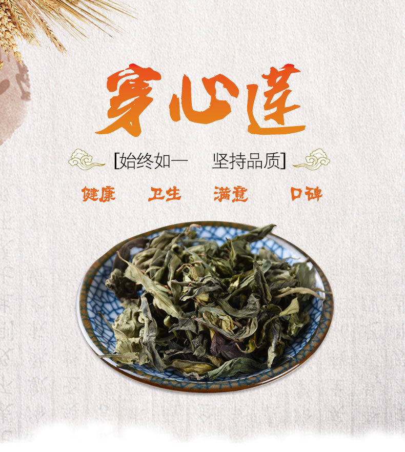 Chuan Xin Lian Herb (Andrographis paniculata) — Dried Stems & Leaves, Bitter Cooling Food Herb key features