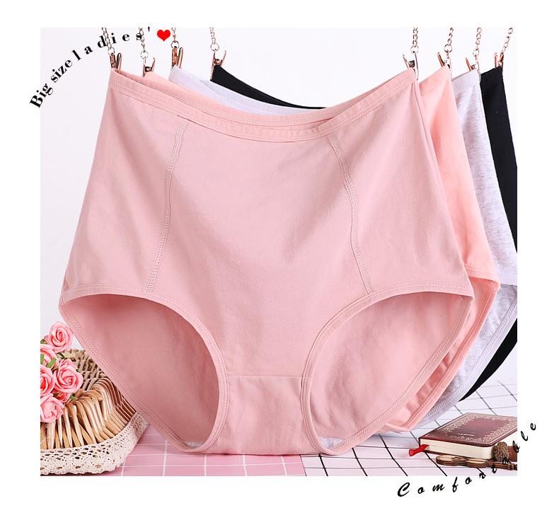 Supply Extra Large Size Underwear Women's plus Sized ExtraLarge