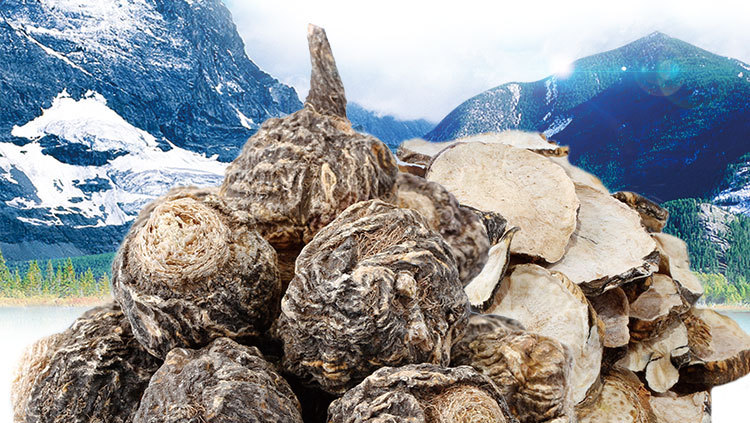 a5a9ea757d67926b2acabe69889937