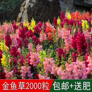 �������ݱ�ֲ����~�ݷN�����^���Ѫ{�ӻ����ڻ����ȸ�ļ����N