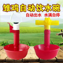 新型雏鸡自动饮水碗鸡鸭鹅育雏水碗接水杯鸡苗饮水器畜牧养殖设备