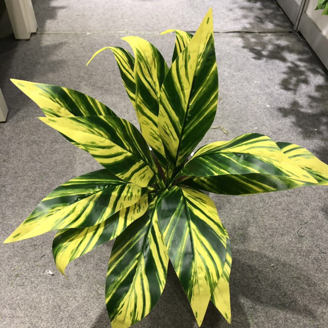 DIY artificial bird's nest fern, magnolia leaf, artificial plant wall accessories, small bonsai, green plants, hand-felt leaves, Brazilian wood detail image 3