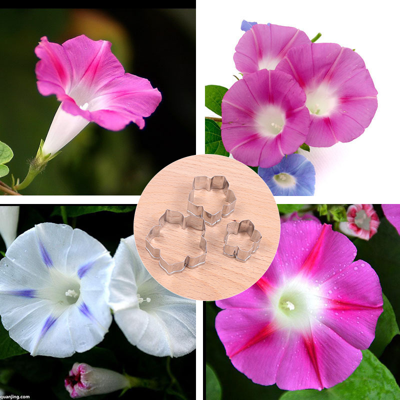Fondant Flower Cutters