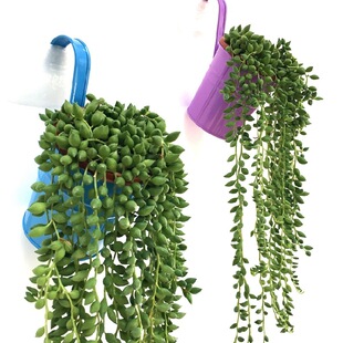 �������˜I���m���� �^���Gɫ����@ˇ ����ֲ��M�������b[��