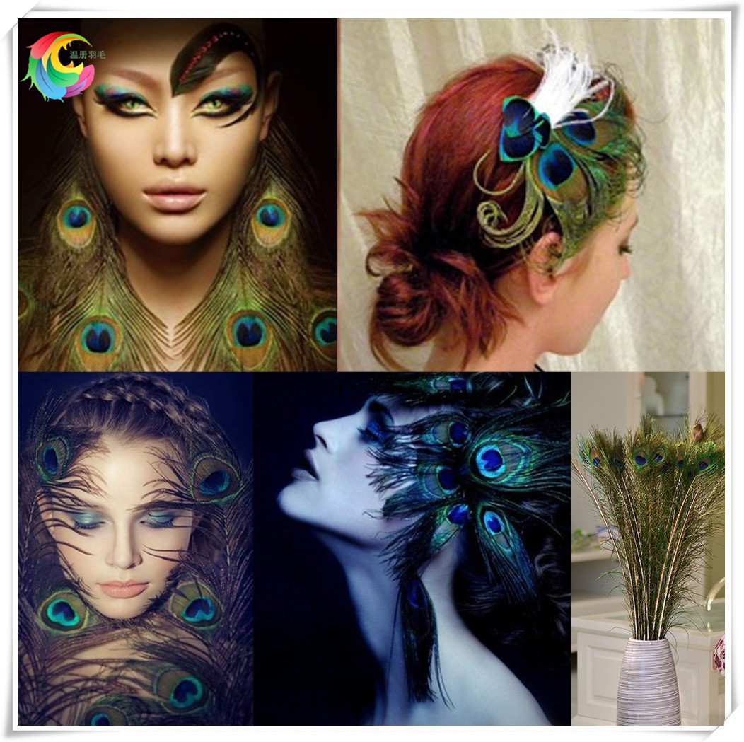孔雀毛16