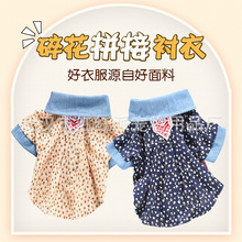 HONGHONGPET̩Ϲb黨r СFeȮ_·