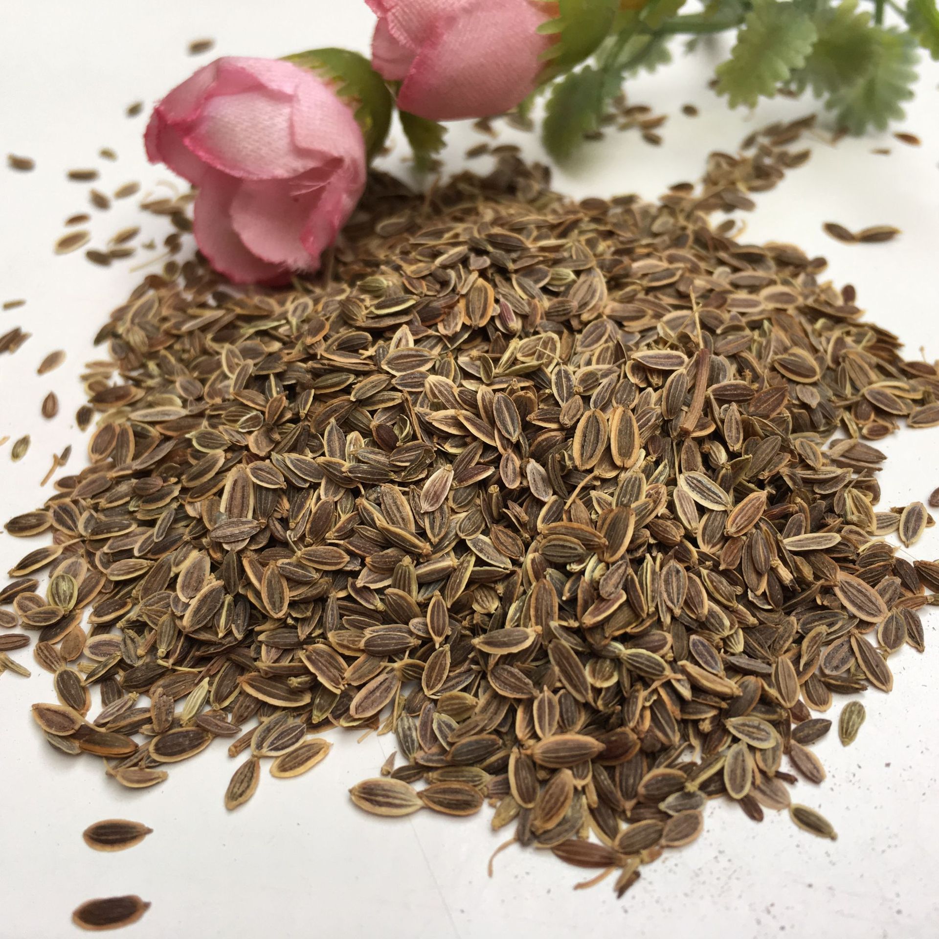 Dried Murraya Paniculata Seeds Qian Li Xiang Zi 500g Culinary Spice for Braising and Marinades key features