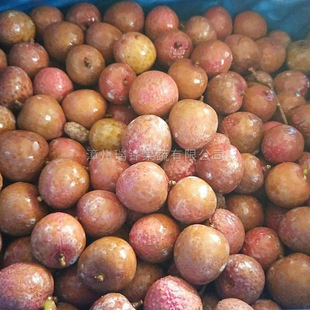 冷冻水果馅料餐饮方便食品速冻厂家冷冻荔枝冷冻荔枝粒速冻荔枝-阿里巴巴