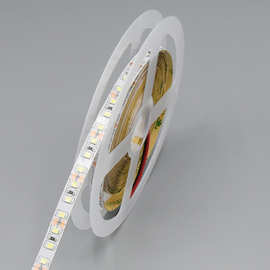 厂家直销12V24V120灯低压高亮8mm双面板霓虹灯带 led2835软灯带