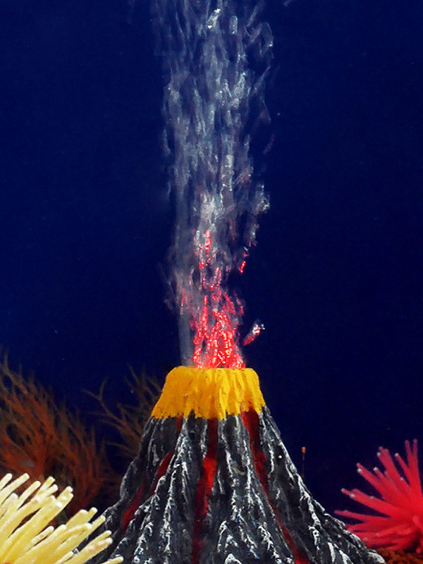 鱼缸里的装饰品水族假山摆件摆设养鱼用品增氧气泡石小火山石造景|ru