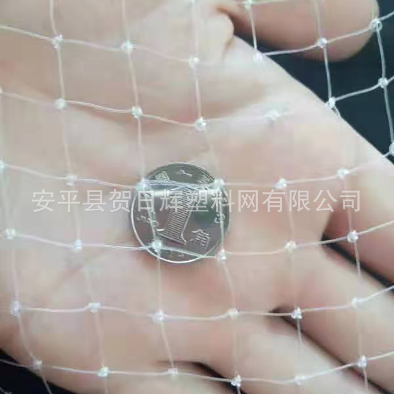 厂家现货供应防鸟网 果园园林防鸟网4m*10m