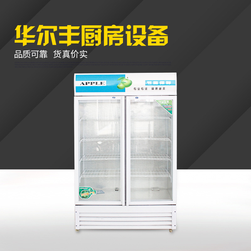 立式商用冰箱 冷藏展示柜冰啤酒饮料饮品保鲜双门陈列柜立式冷柜