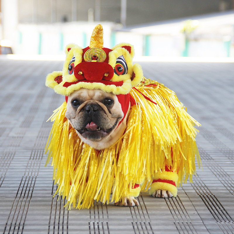 Transformación de Año Nuevo traje jizai suministros para Mascotas Fábrica Año Nuevo ropa de León estilo chino cubo francés Ropa de baile de León