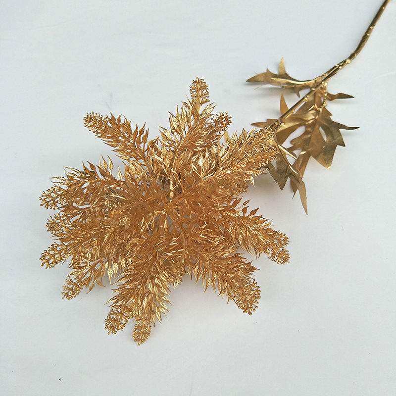 76厘米单只海星价格4.3元