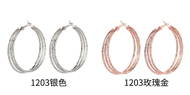 9g Weight Earrings Classification Wedding, Travel Occasion Women'S Gender Fashion Style Gold, Silver Color Metal Ring Exaggerated Geometric Large Frame Circle Earrings 15