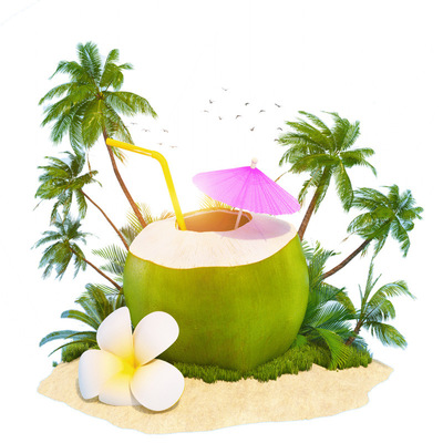 Hainan coconut Coconut Sanya Coconut young coconut On behalf of wholesale